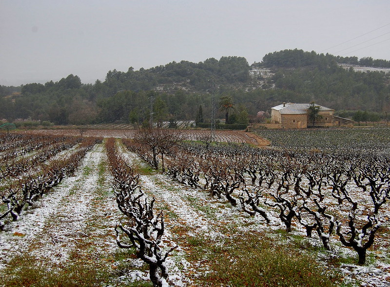 Cómo aprovechar los recursos naturales en invierno para tu agricultura