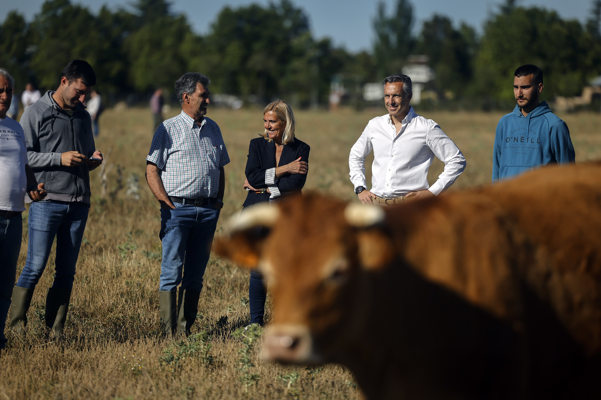 Cómo calcular el coste real de producción por animal